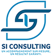 SI consulting